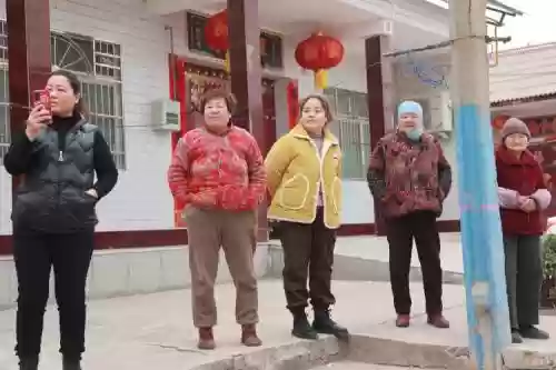 农村媳妇阵容插图