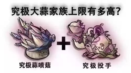 奥菇阵容插图1