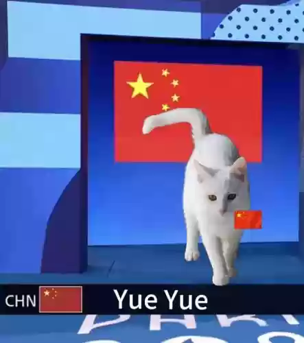 4喵阵容插图