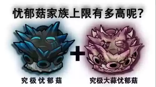 奥菇阵容插图