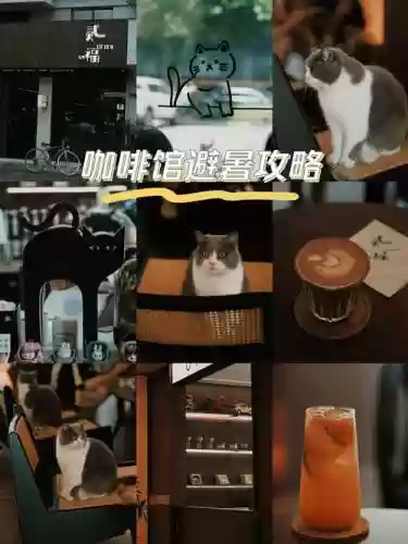 咖啡店咖啡店攻略