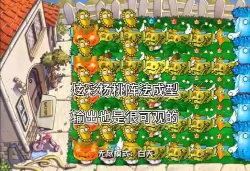 炫彩阵容插图1