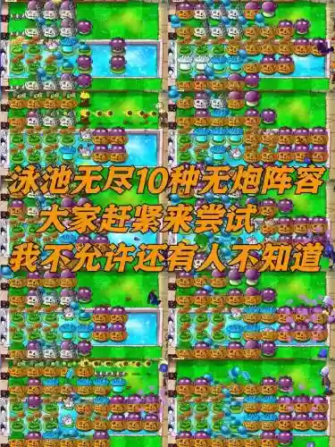 植物大战僵尸效果阵容和阵容讲解插图