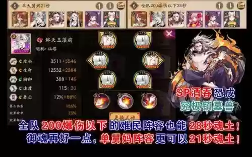 sp舅妈阵容插图