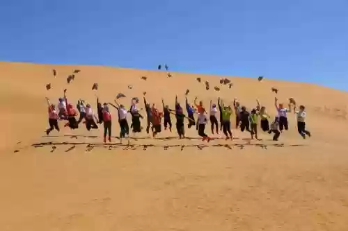 沙漠旅游阵容插图