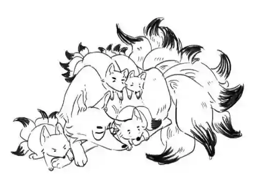 狐狸阵容黑白插图1