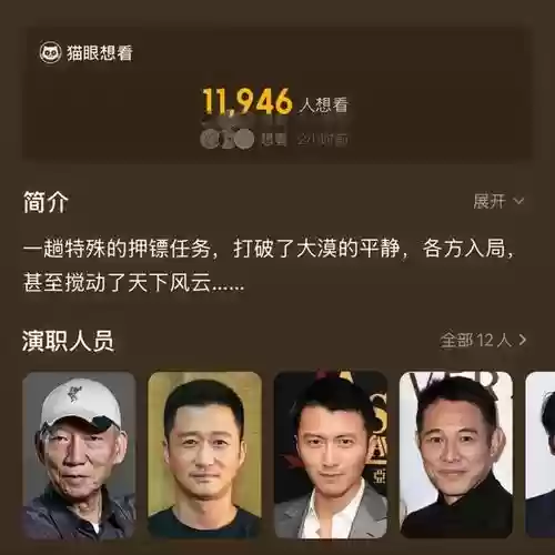 吴京豪华阵容插图