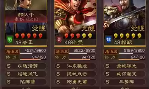 法正孙坚董白阵容搭配