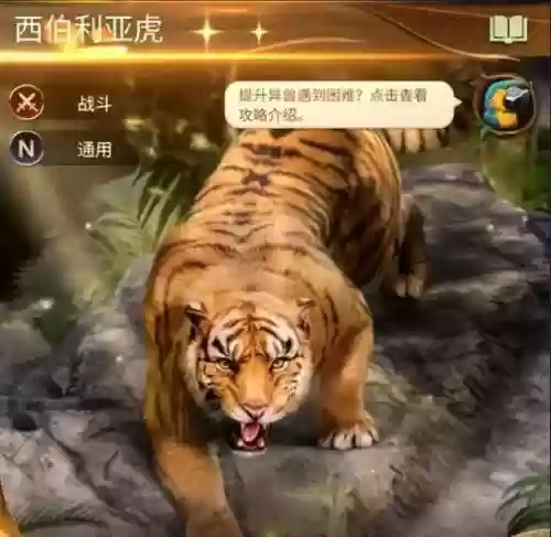 老虎配合阵容插图