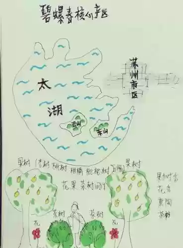 梦幻西游碧螺春原产地在哪里插图