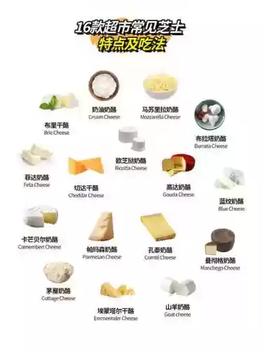 纯奶酪阵容插图