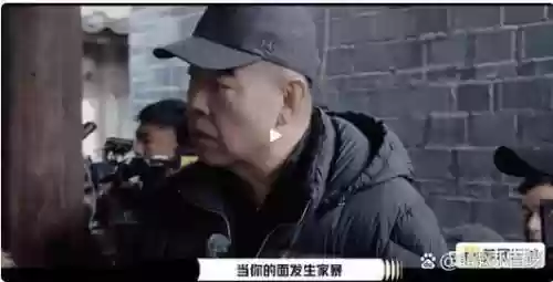 导演请不起阵容插图1