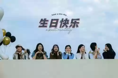 美好年华阵容插图1