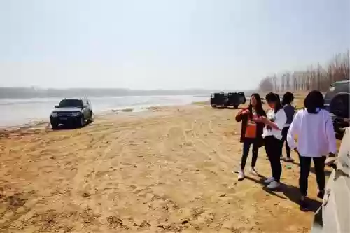 黄河滩阵容插图1
