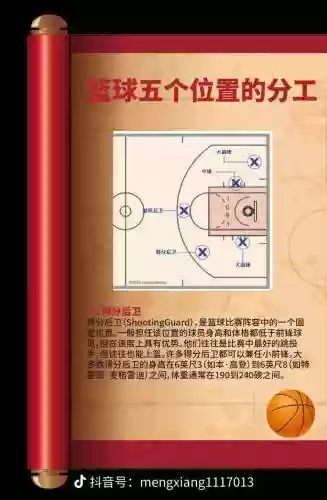 篮球阵容结构插图1
