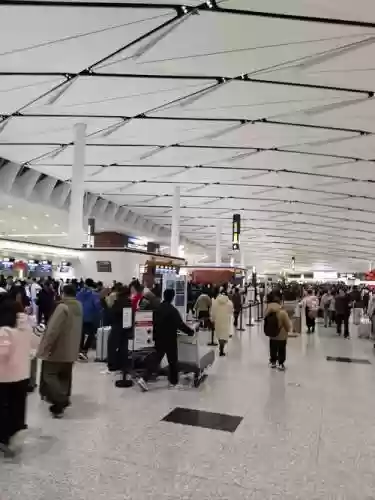 天府机场阵容插图1