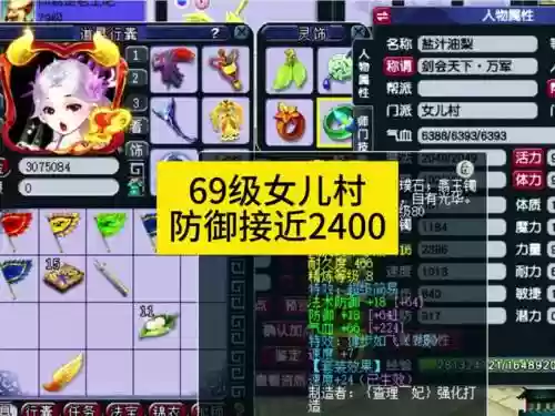 梦幻西游69女儿村极限伤害插图