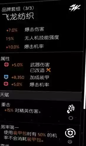 全境封锁火体流装备搭配插图