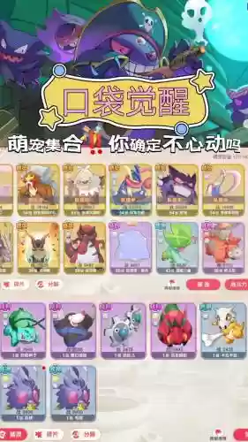 口袋科技阵容插图1