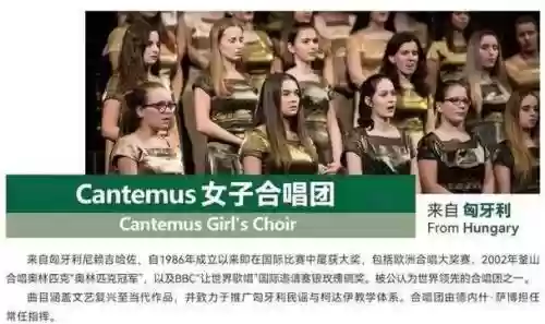 强团阵容插图1