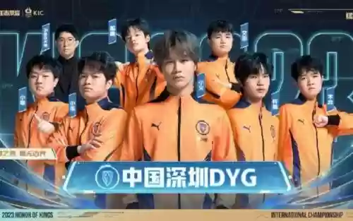 dyg阵容简介插图