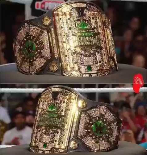 wwe带装备就秒退插图