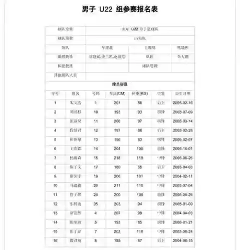 吴忠全运会阵容插图