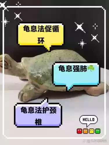 龟息阵容插图1