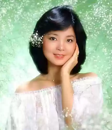 邓丽君神仙阵容插图1