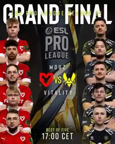 vitality原阵容插图