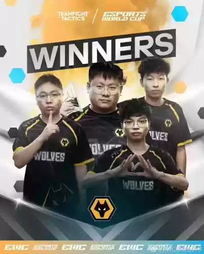 wol战队阵容插图1