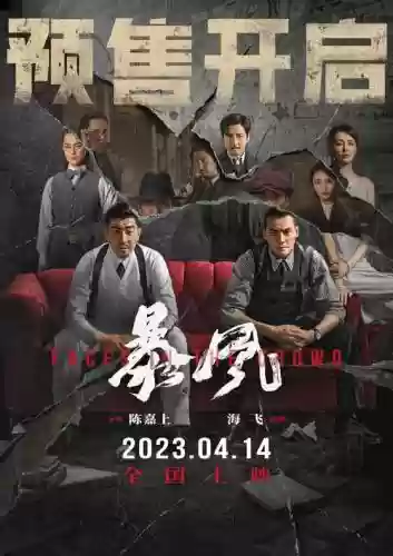风暴电影阵容插图