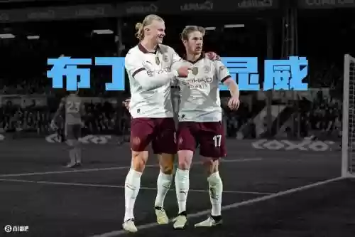 丁科阵容插图