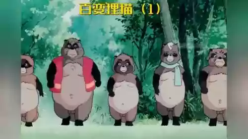 狸猫技阵容_1插图1