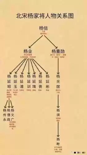 杨家阵容插图