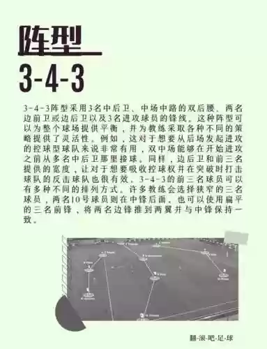 343阵容推荐插图