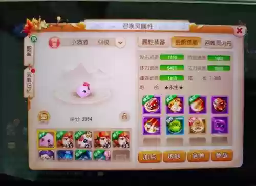 梦幻西游宠物多了放哪里插图1