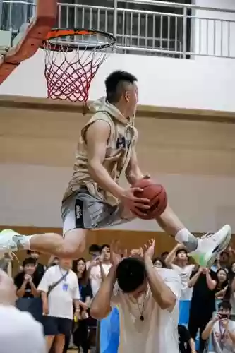 杨浩阵容_1插图