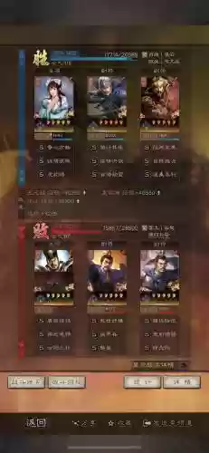 征东将军张辽用什么技能插图