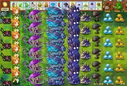 pvp植物阵容插图