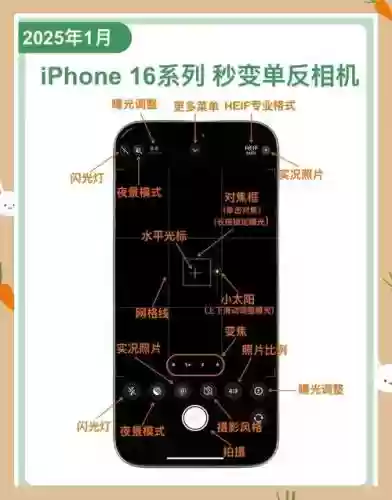 苹果相机拍照技能_1插图1
