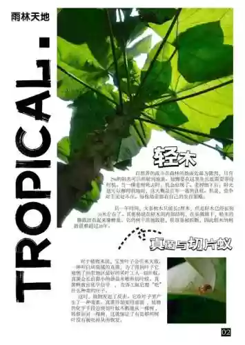 绿色星球2武器合成插图