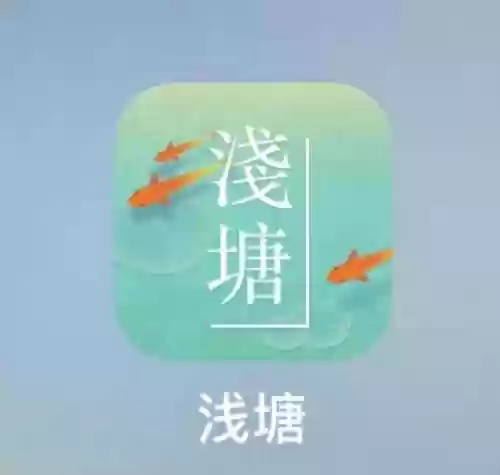 浅塘游戏攻略27插图1