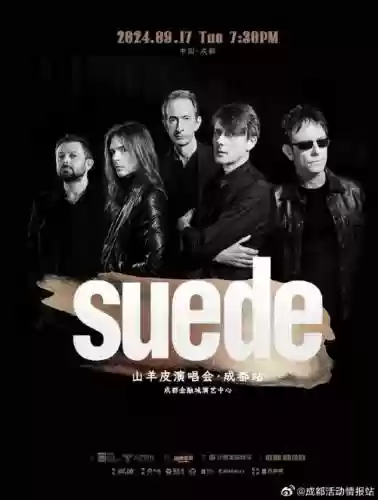 suede新阵容插图1