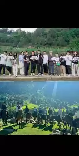 互娱阵容插图