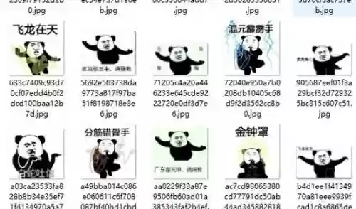 暴走技能图片插图1