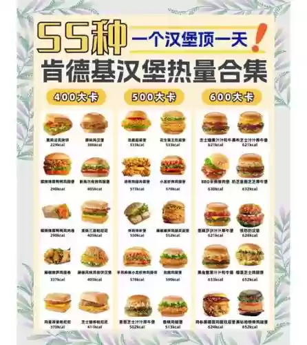汉堡v阵容插图