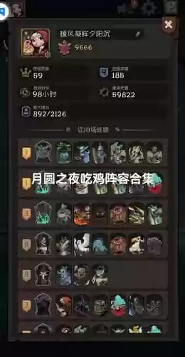 月光搭配阵容插图