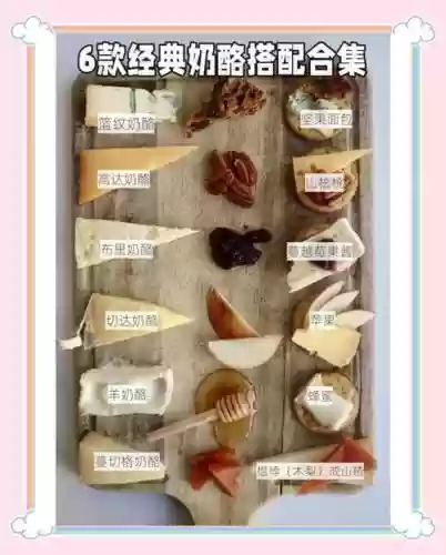 纯奶酪阵容插图1