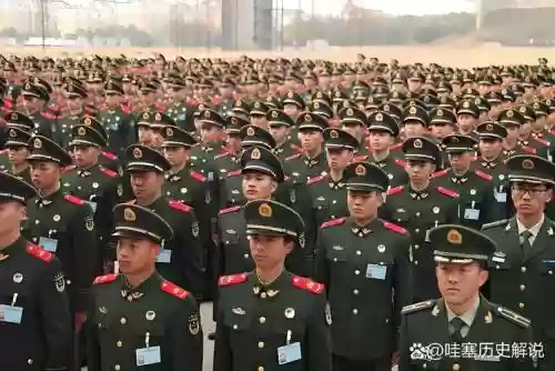 官兵阵容插图1